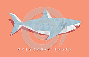 Polygonal shark Ã¢â¬â stock illustration Ã¢â¬â stock illustration file photo